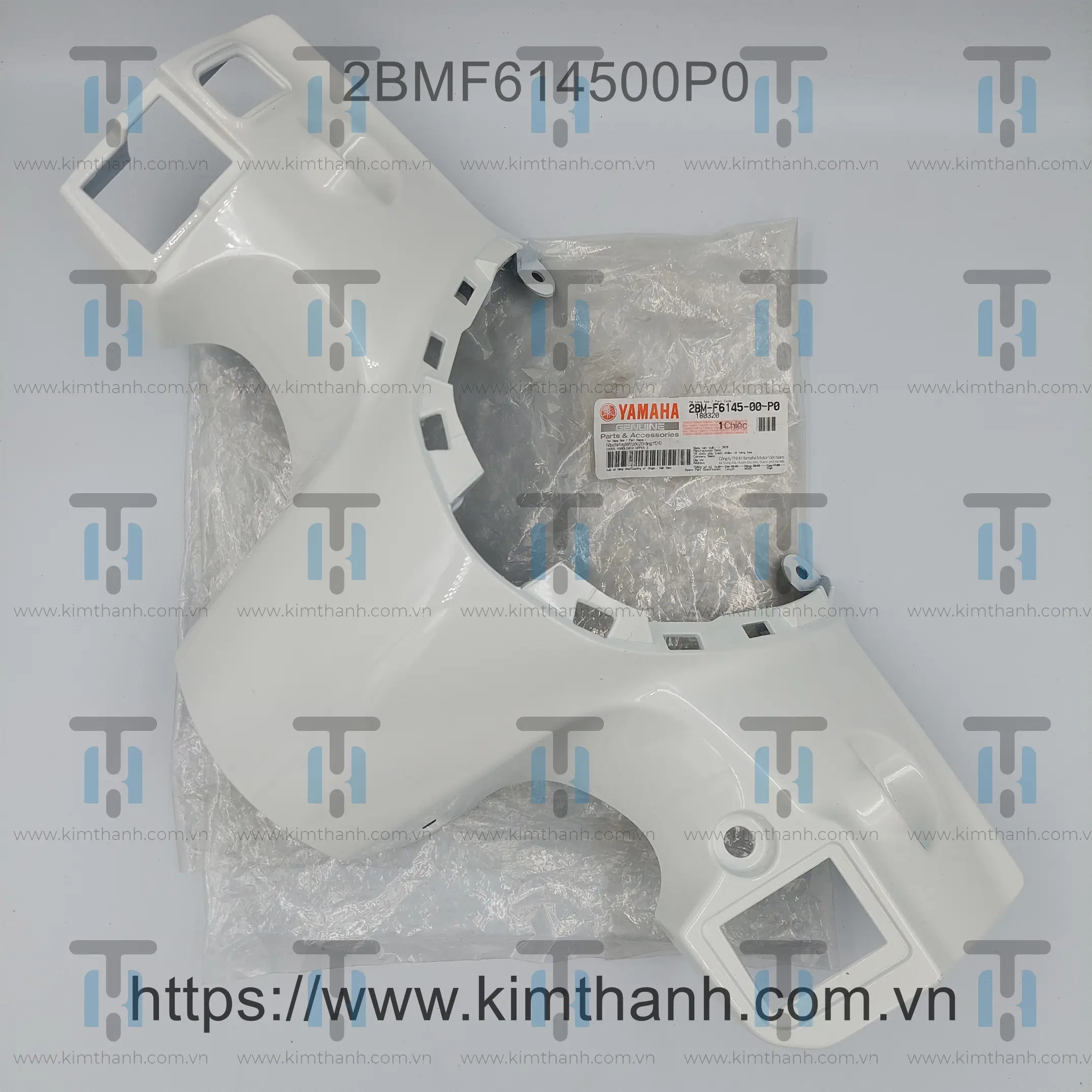 Bợ cổ trắng Nozza Grande 2015