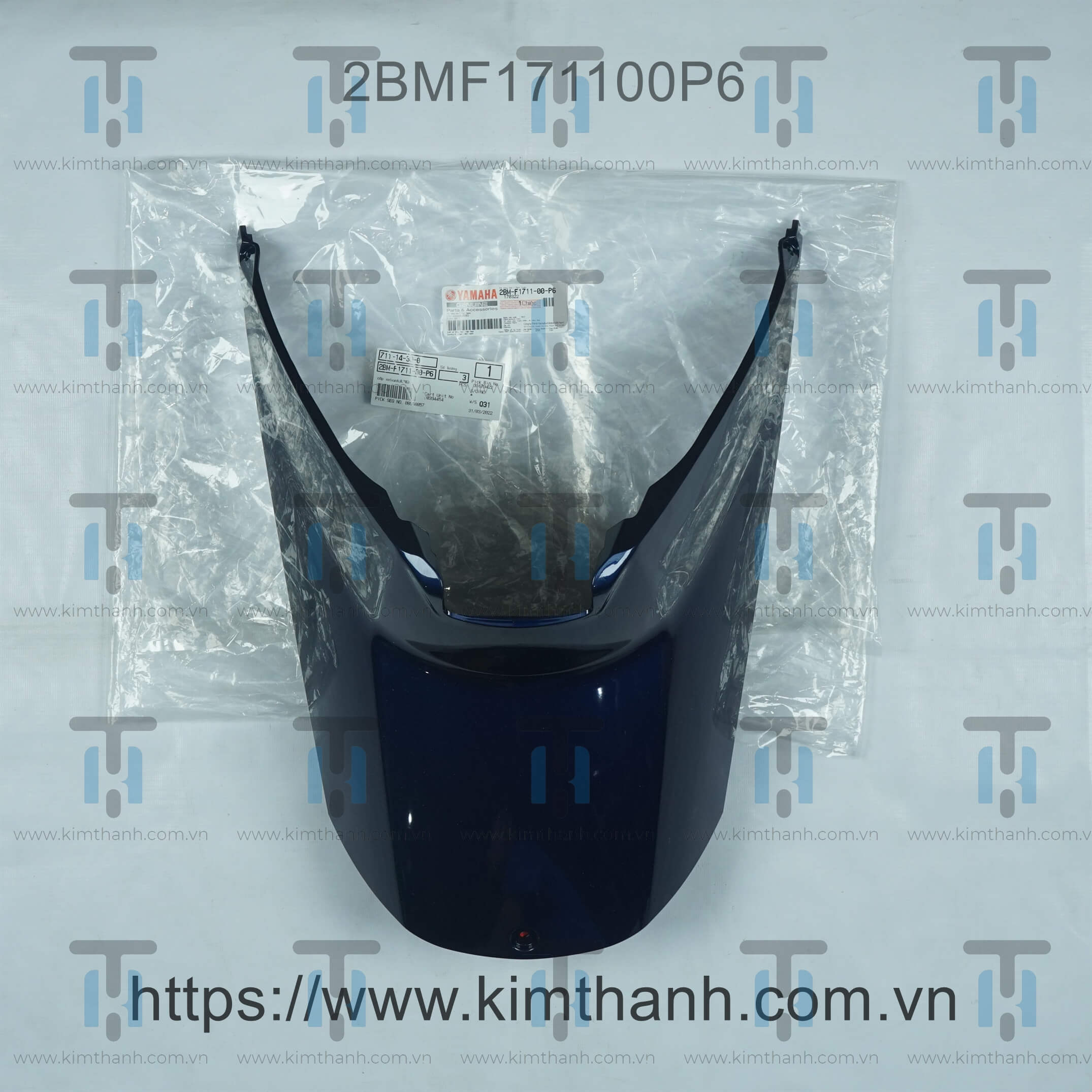 Bụng mực bóng Nozza Grande 2015