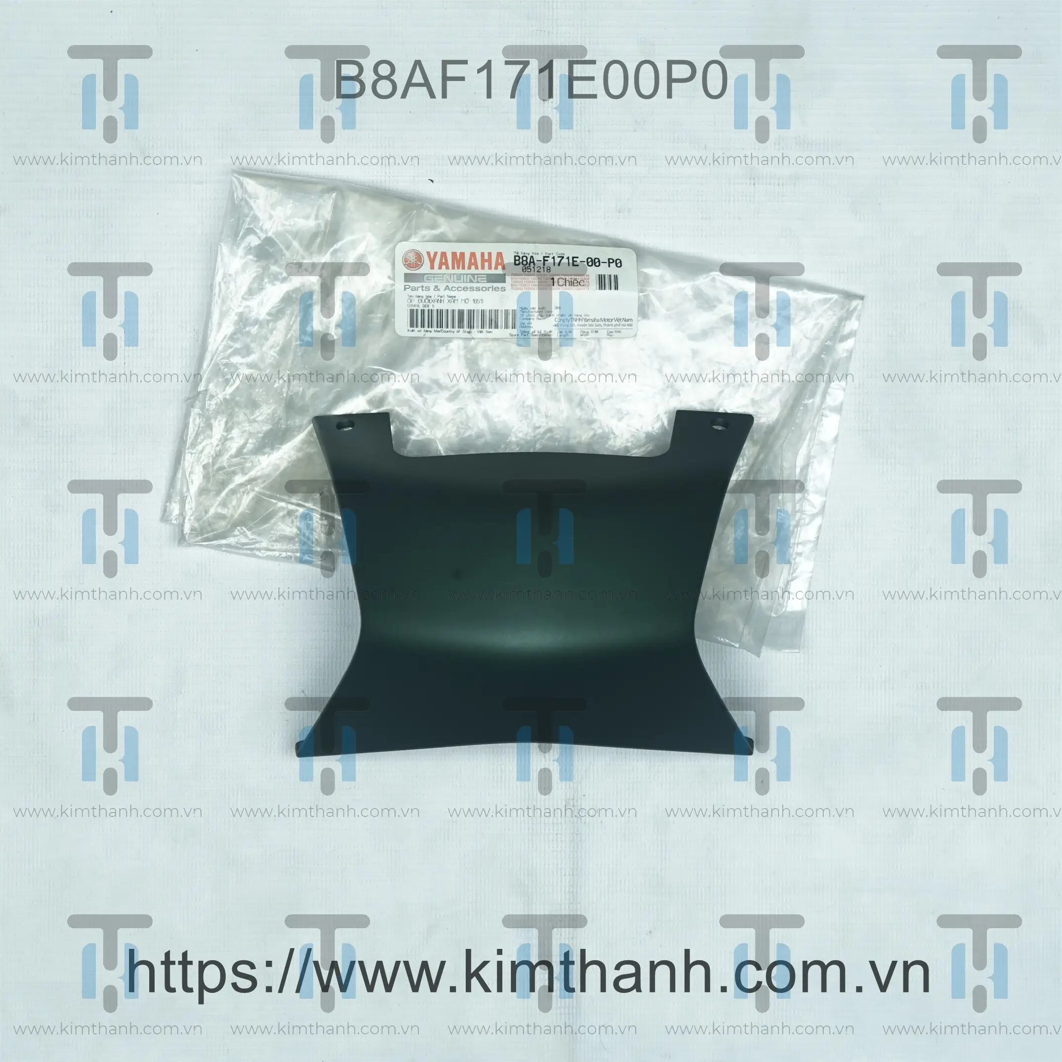 Rùa dưới lục mờ Nozza Grande 2019