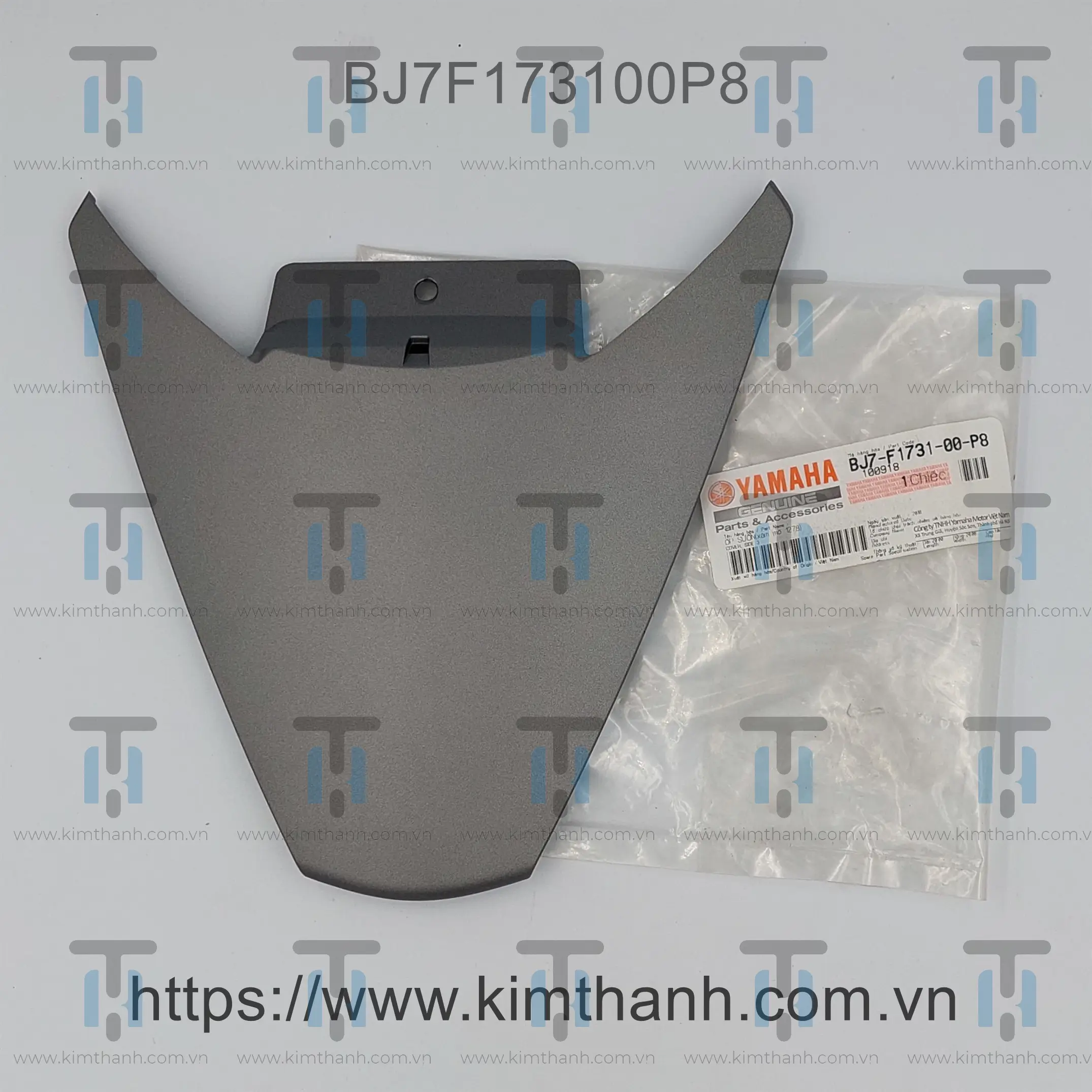 Rùa dưới xám mờ Janus 2016