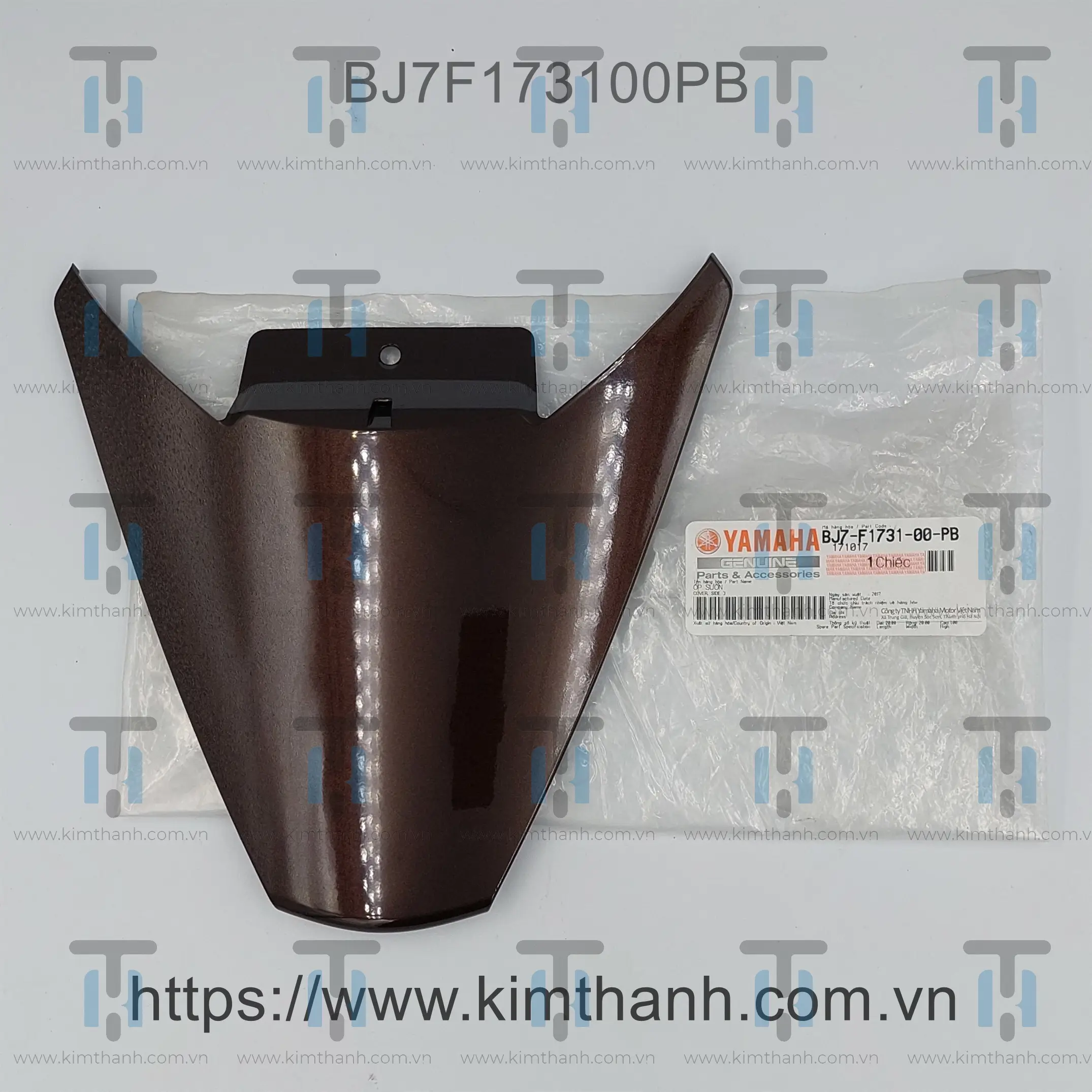 Rùa dưới nâu Janus 2016