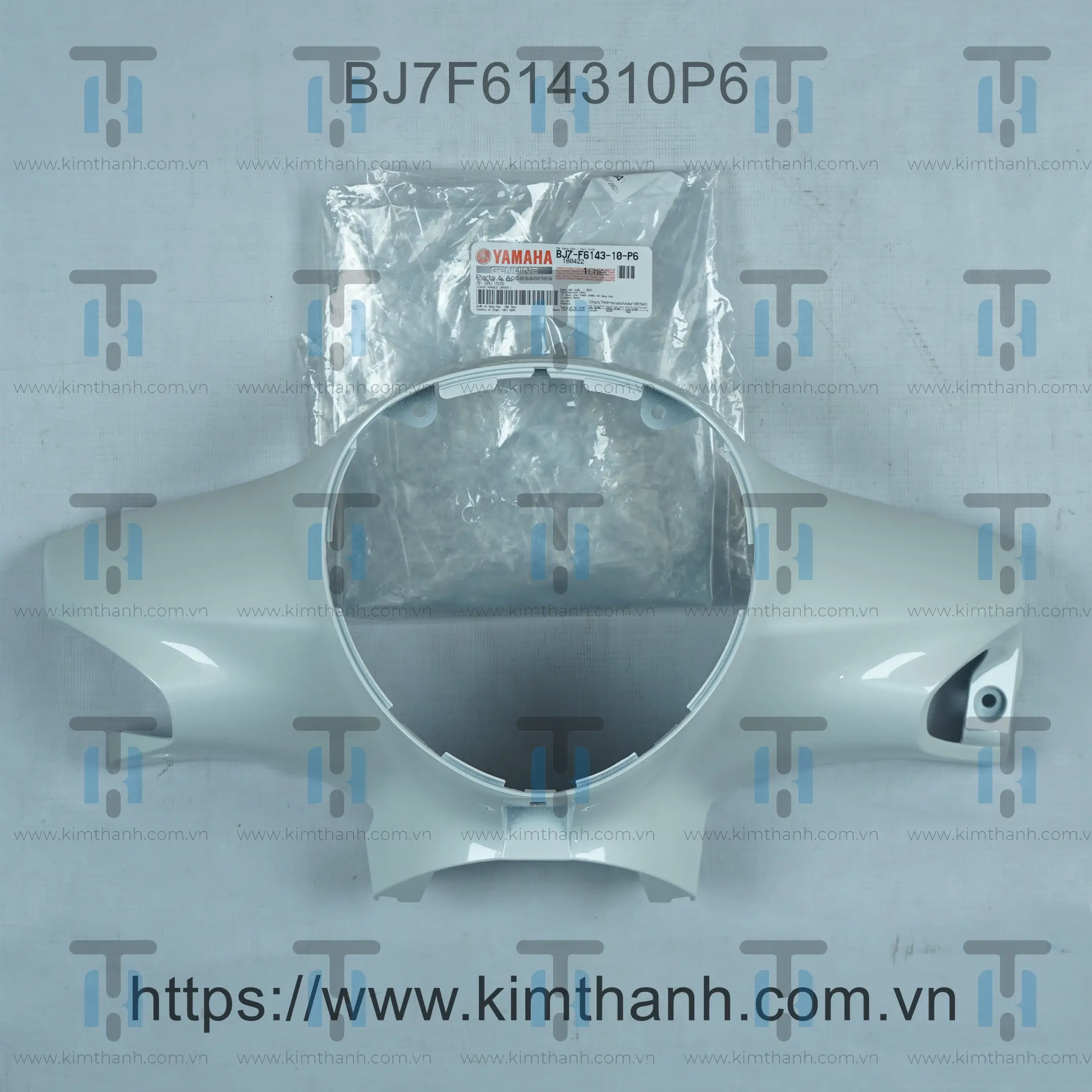 Đầu trắng xanh Janus 2022