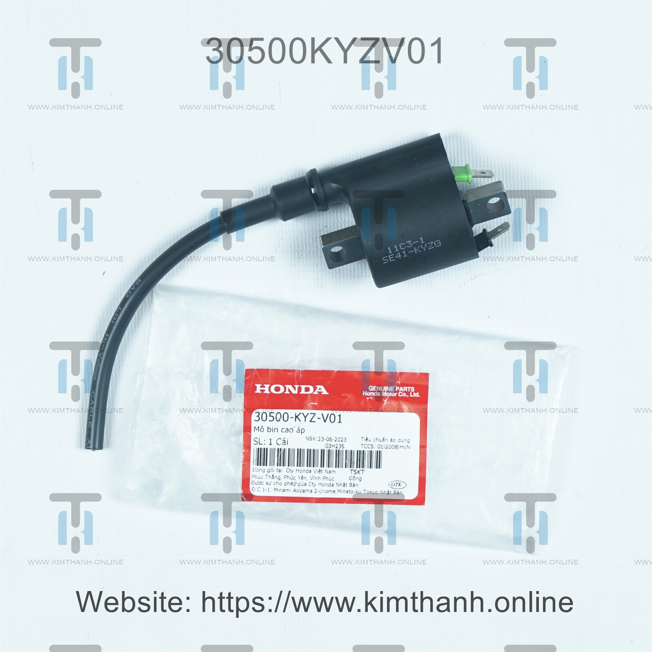 Mô bin sườn T Future 125cc 2013